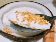 吃货椰子铺怎么样？吃货椰子铺加盟费多少钱？