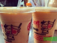 西安郑老牌木瓜牛奶如何加盟？加盟条件是什么？