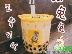 加盟兔子兔子茶饮一年能赚多少钱？年收益怎么样？