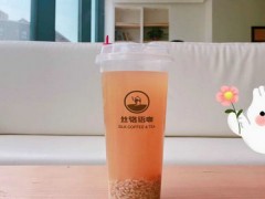 丝骆语咖加盟利润究竟有多好？短短4个月就收回本金！