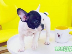 萌犬烧绿豆沙牛乳加盟