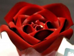 小盒子西点的蛋糕好吃吗？小盒子西点加盟火爆的原因