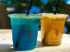 Sento Tea森兔加盟费是多少？加盟条件有哪些？