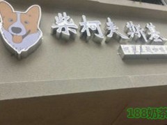 柴柯夫斯基柯基主题咖啡厅加盟好吗？它的加盟条件高吗？