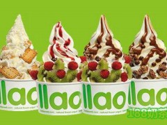 加盟Salud冻酸奶能赚多少？一年能赚多少钱？