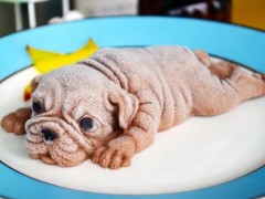 半亩方糖怎么样？半亩方糖加盟有哪些支持？