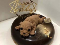 橙路贝果创意蛋糕好吃吗？橙路贝果加盟流程有哪些？