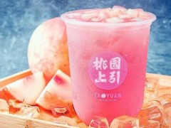 桃园上引怎么样？广州桃园上引奶茶地址！