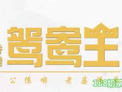 香港鸳鸯王加盟