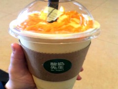 酸奶先生可以加盟吗？酸奶先生加盟多少钱？