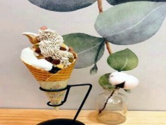 椰莎悦甜利润大吗？上海等一线城市年赚25万无压力！