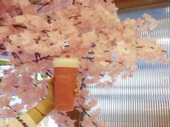 寻吻王子拉茶怎么样？寻吻王子拉茶总部在哪？