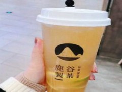 鹿谷製茶加盟利润真的赚钱吗？6个月收回本金，年赚30万+！