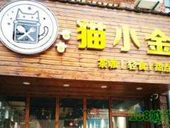 呆呆猫小金加盟