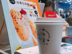 普盈士王子拉茶怎么样？年利润高不高？