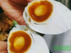 潮记煲仔饭加盟