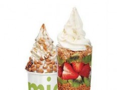 Salud撒露冻酸奶地址在哪？Salud撒露冻酸奶有哪些选址技巧？