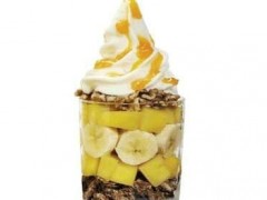 Salud撒露冻酸奶加盟赚钱吗？Salud撒露冻酸奶的加盟是什么？