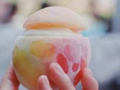 长春普诺米斯冰淇淋加盟多少钱？加盟条件分析