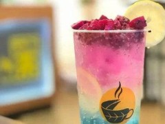 晋安苏打小姐可以加盟吗？苏打小姐为什么被大家看好？