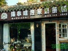 猫小咪奶茶加盟