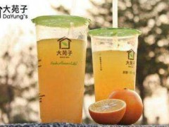 大苑子奶茶加盟政策有哪些？台湾可以加盟大苑子奶茶吗？