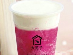 大苑子加盟条件有哪些？加盟大苑子难不难？