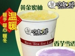 广东哈皮奶思奶茶加盟好不好，奶茶行业市场分析