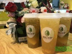 倾城の初茶加盟