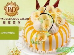 皇家美孚蛋糕加盟