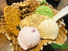 陕拾叁冰饼糖加盟