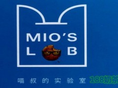 喵叔的实验室加盟