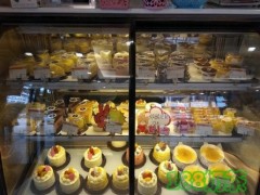 ZY zhuoyue卓悦加盟