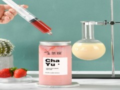 茶娱实验室加盟