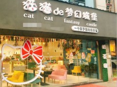 猫猫de梦幻城堡奶茶加盟