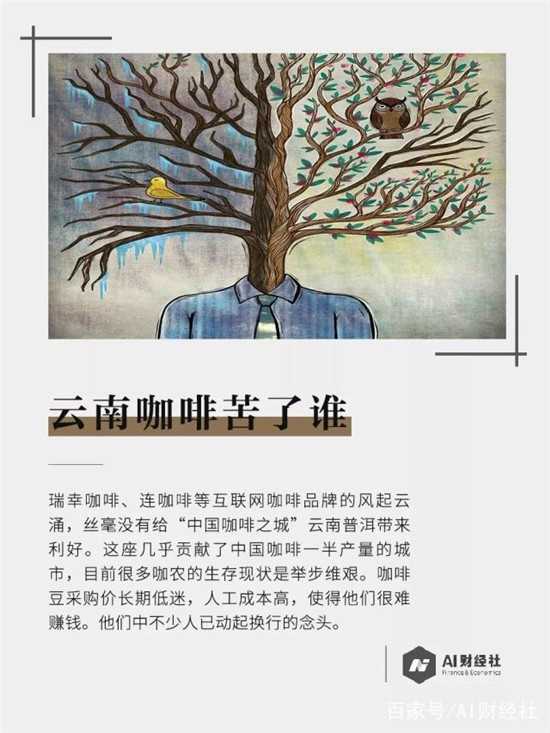 云南咖啡劣币驱逐良币，咖农种一年亏损十几万