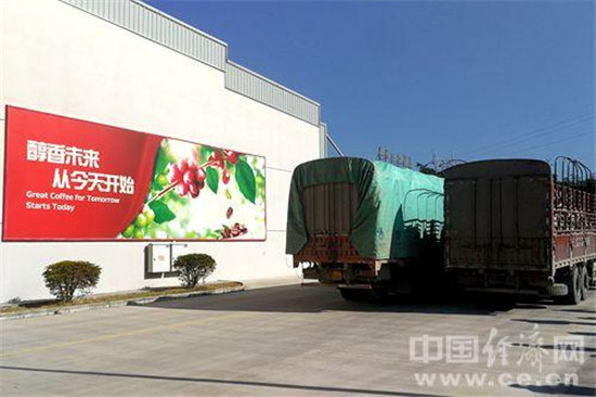 30年帮扶成果显现 雀巢植根云南助力中国咖啡产业升级