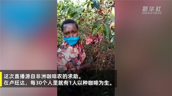 联合国官员进中国直播间带货，3000斤咖啡豆秒光，非洲农民看呆了