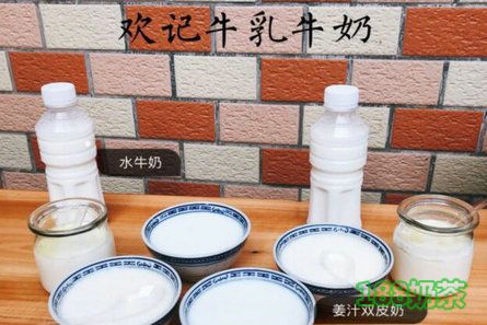鲜奶吧怎么加盟？欢记牛乳牛奶加盟流程是什么？