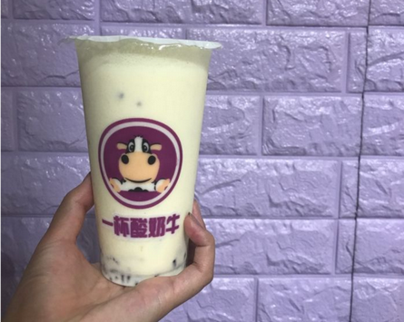 一杯酸奶牛加盟