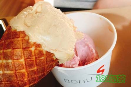 BONUS冰淇淋加盟