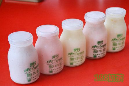 牛仁鲜奶吧加盟