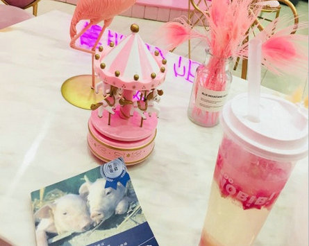 Nobibi冰淇淋加盟