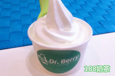 DrBerry朵宝酸奶冰激凌加盟