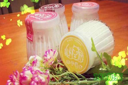 狐狸家秘制酸奶酪加盟