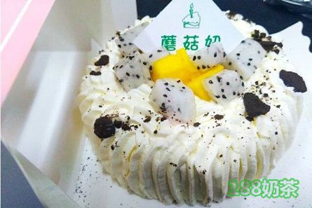 蘑菇妞酸奶加盟