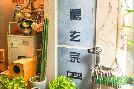 糖玄宗糖水铺加盟