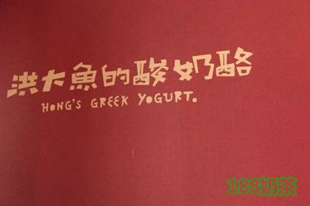 洪大鱼的酸奶酪加盟