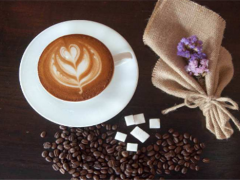 塞纳森林咖啡加盟