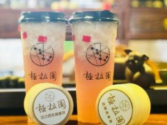 极拉图冰淇淋怎么样？意大利网红冰淇淋店加盟前景好！
